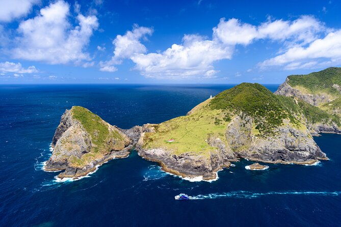 Bay of Islands Explorer Experience Small Group Tour From Auckland - What Sets This Tour Apart?