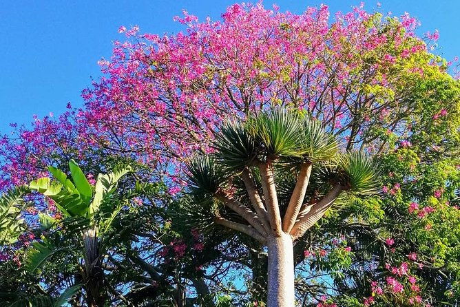 Bay of Islands Half-Day Private Tour - Authentic Insights From Past Guests