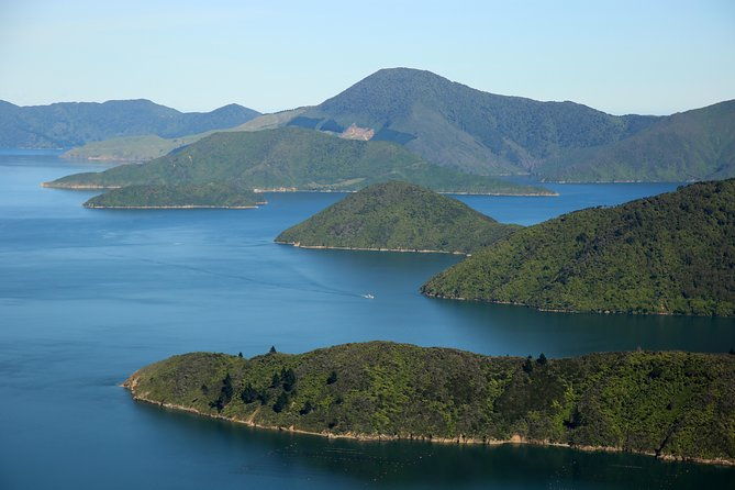 Bays and Bush Flight Scenic Tour - Who Should Book This Tour?