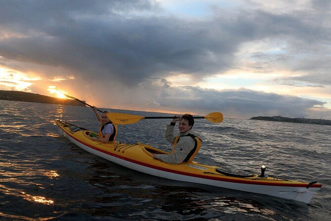 Beautiful Middle Harbour Sunriser / Guided Kayaking Private Tour - Final Thoughts