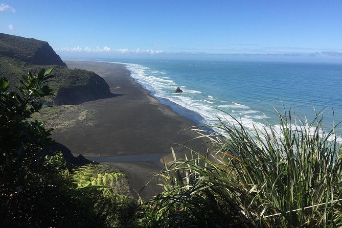 Beautiful Nature Tours Auckland - Private Tour - Why This Tour Offers Good Value