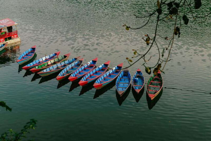 begnas-lake-freshwater-fish-hunt-culinary-experience