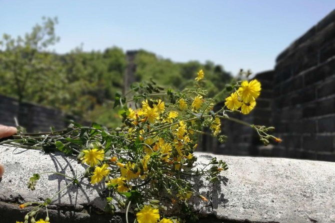 Beijing Private Transfer to Badaling Great Wall - FAQs