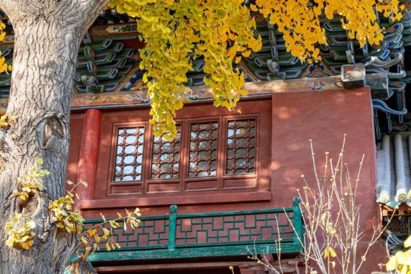 beijings-hidden-delights-dong-si-hutong-food-tour