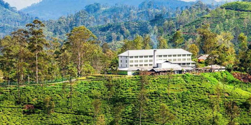 bentota-kalutara-hikkaduwa-day-trip-to-ella-highlands-2