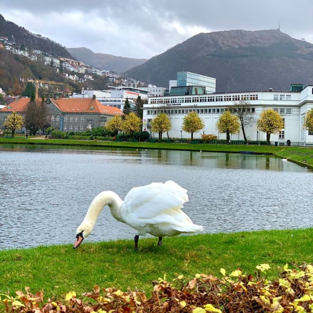 bergen-discovery-by-car