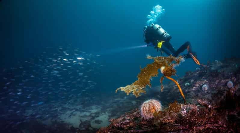 bergen-guided-scuba-diving