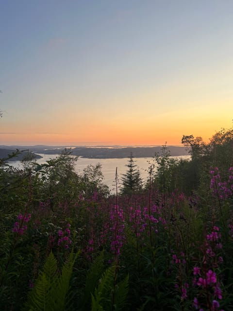 bergen-magical-nature-tour-viflowexperience