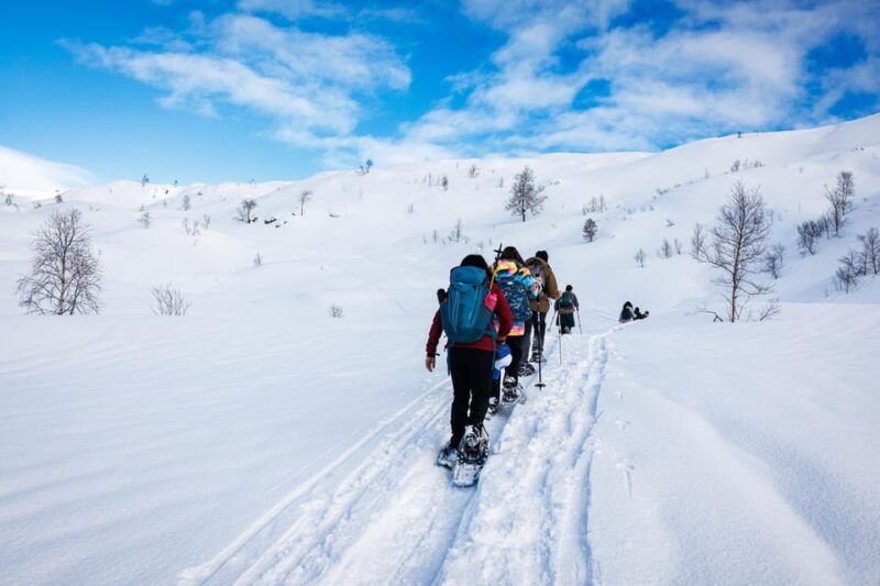 bergen-snowshoe-hike-public-tour