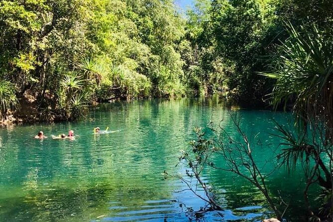 Berry Springs + Crocodile Cruise + Crocodlylus Wildlife Park - Authentic Experiences & Real Traveler Feedback