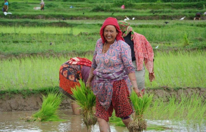 best-of-nepal-bhutan-tour%e0%a5%a4spectacular-view-%e0%a5%a4-14-days-tour