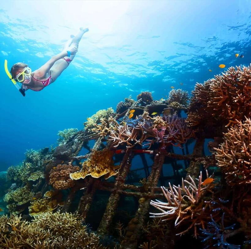 best-snorkeling-adventure-in-bali-with-exciting-activities