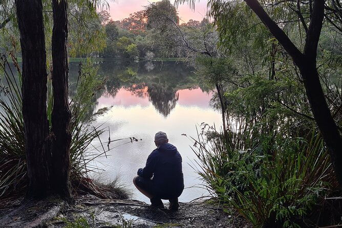 Bibbulmun Multi-Day Hike & Camp | Pemberton  Northcliffe - Why This Tour Stands Out