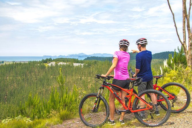 Bike Hire at the Waitangi Mountain Bike Park - Who Is This Tour Best For?