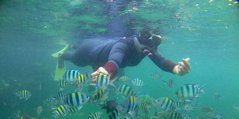 bintan-snorkeling