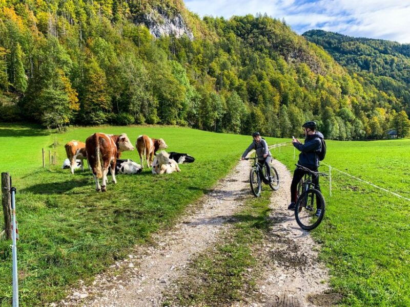 bled-ebike-tour-lake-bled-triglav-national-park-private