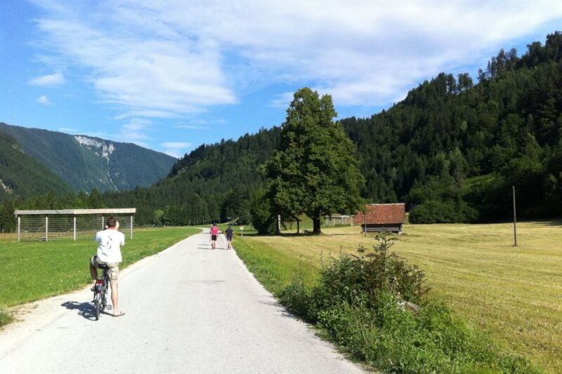 bled-mountain-bike-rental