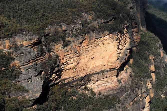 Blue Mountains Highlights & Featherdale Wildlife Park - Who Should Consider This Tour?