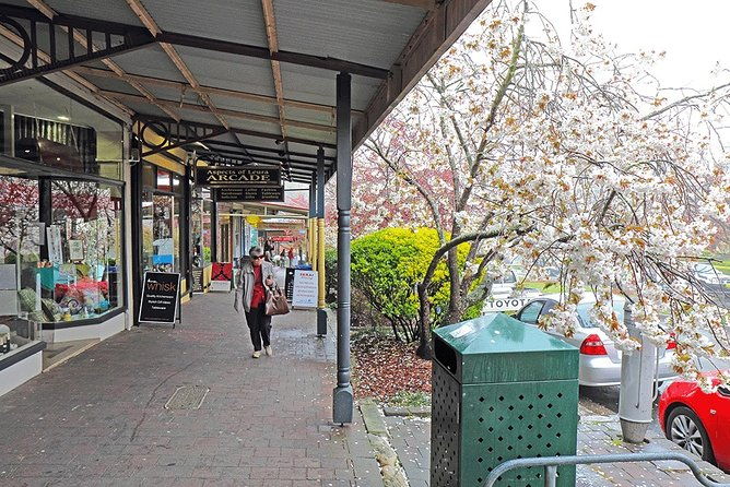 Blue Mountains Highlights & Wildlife Park - Who Is This Tour Best For?