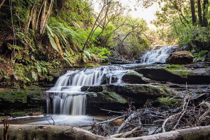 Blue Mountains Luxury Tour from Sydney - The Sum Up: Is This Tour Worth It?