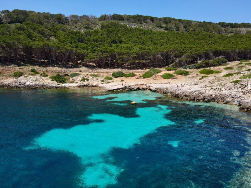 boat-tour-of-favignana-and-levanzo-from-trapani