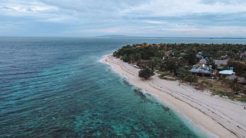 bohol-balicasag-is-private-tour-and-dolphin-watching