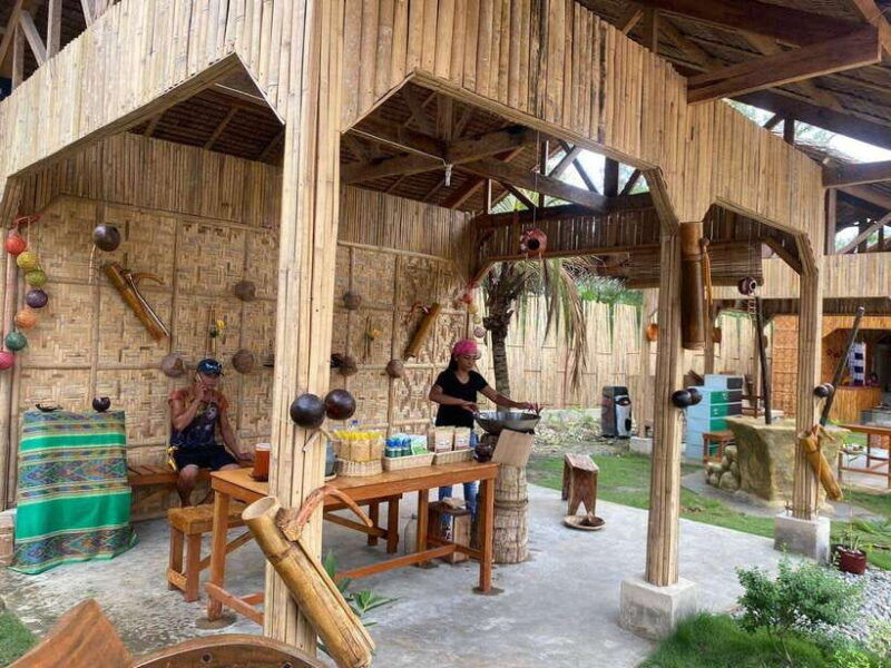 bohol-choco-tour-tarsiers-with-lunch