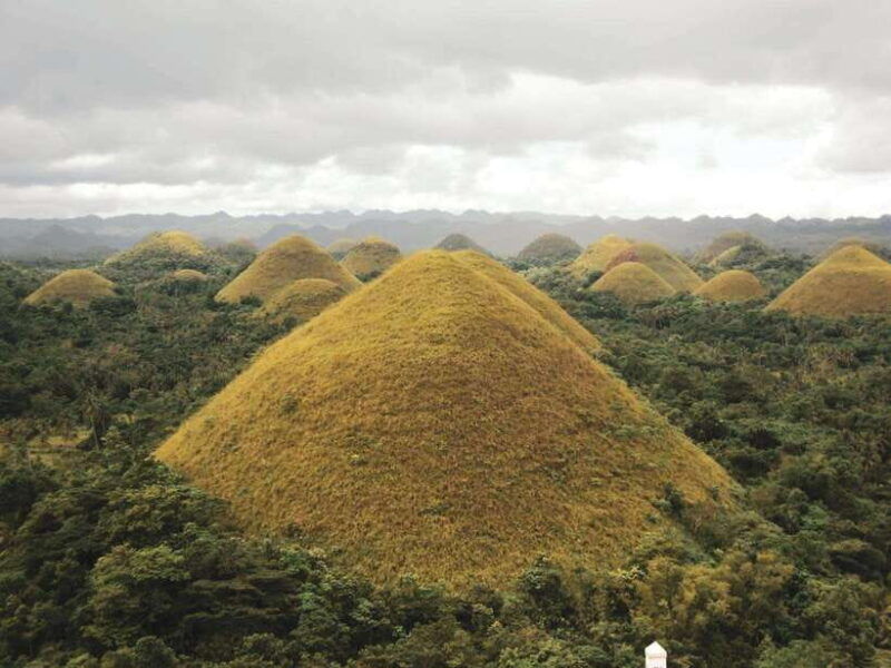 bohol-chocolate-hills-private-tour