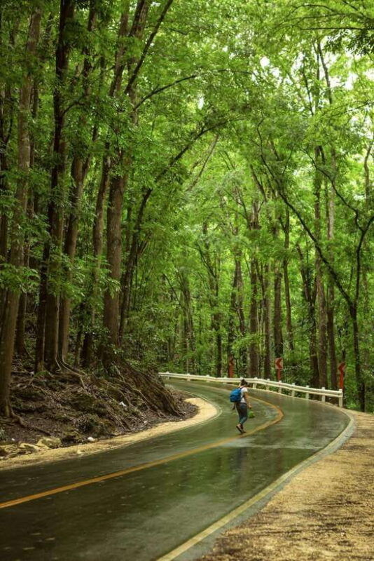 bohol-chocolate-hills-tarsiers-and-loboc-river-adventure