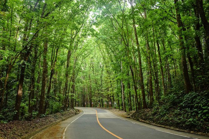 Bohol Countryside Day Tour from Cebu City or Mactan - Best Seller - Practical Aspects and Value for Money  