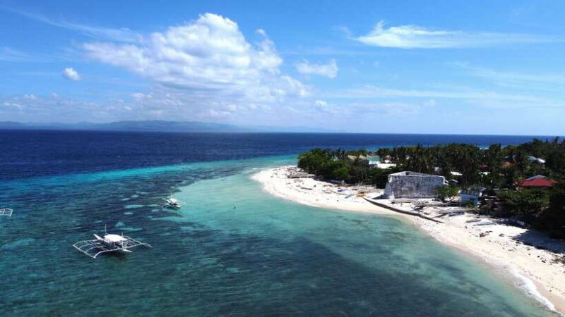 bohol-pamilacan-island-turtle-dolphin-watching