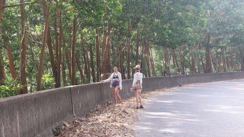 bokor-mountain-tour-with-the-experienced-tour-guide