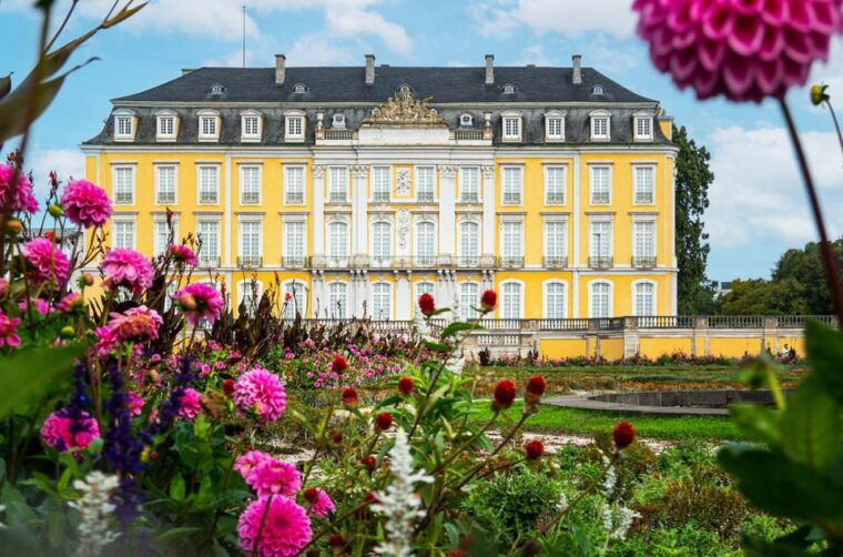 bonn-in-1-day-walking-tour-with-digital-guide