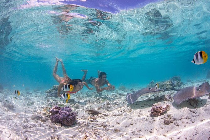 Bora Bora Eco Snorkel Cruise Including Snorkeling with Sharks and Stingrays - Real Guests’ Insights and Highlights