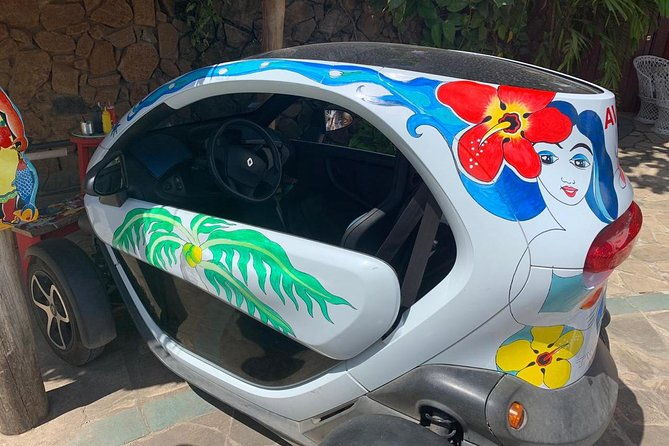 Bora Bora Electric Fun Car Rental - Who Will Love This?