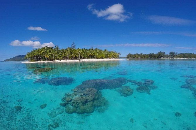 Bora Bora Private Lagoon Tours - An in-depth look at Bora Bora Private Lagoon Tours