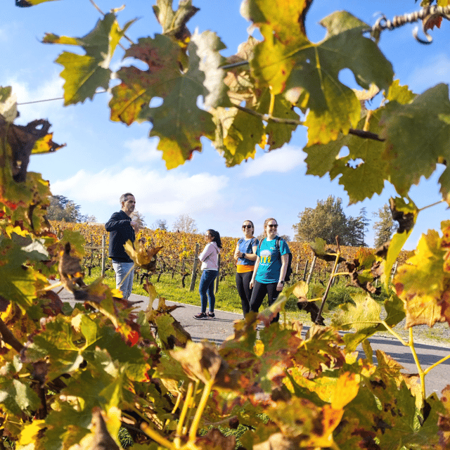 bordeaux-by-gravel-bike-historic-center-vineyards