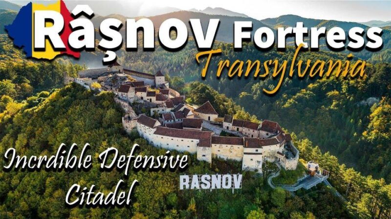 brasov-bear-sanctuary-dracula-castle-and-rasnov-fortress