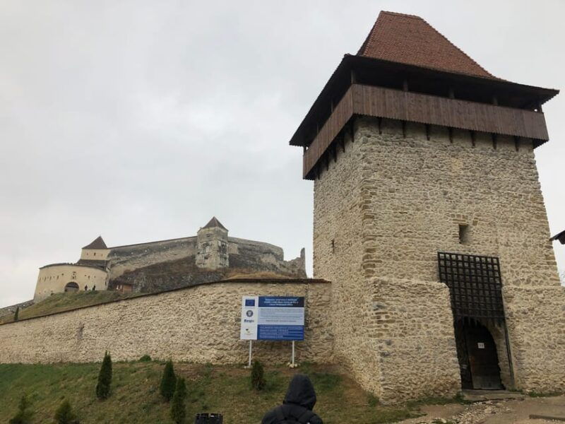 brasov-bran-castle-bear-sanctuary-rasnov-peles-optional