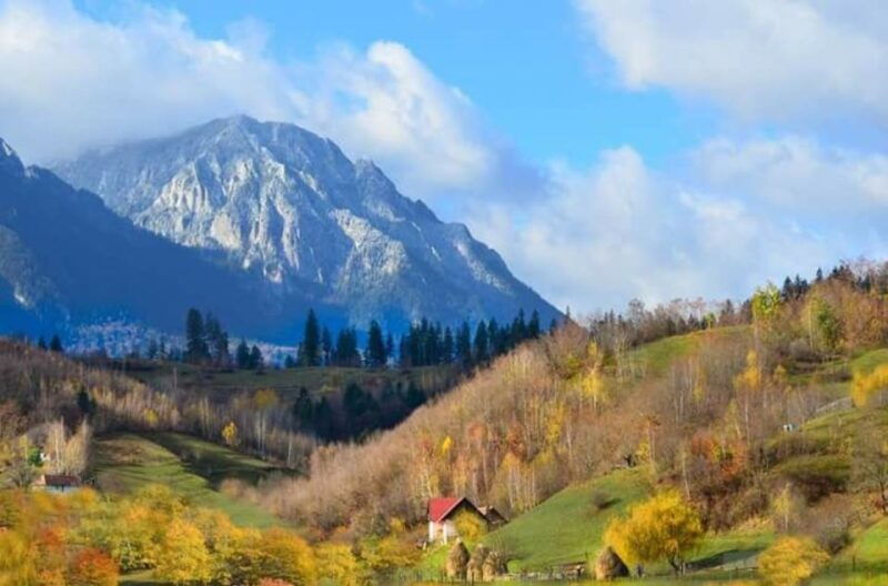 brasov-craiuli-mountains-hike-bear-sanctuary-private-trip