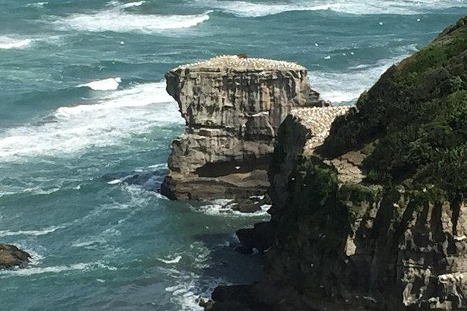 Breathtaking west coast, rainforest, beach and boobies - German private tour - The Experience: Authentic and Well-Paced
