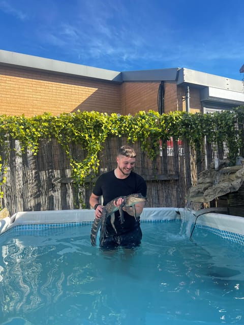 bristol-crocodile-swimming-experience-with-lunch-x2