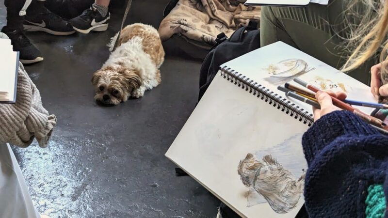 bristol-dog-life-drawing-led-by-local-artist-cai-burton