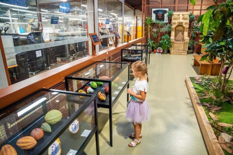 brussels-private-family-tour-highlights-tasting-museum