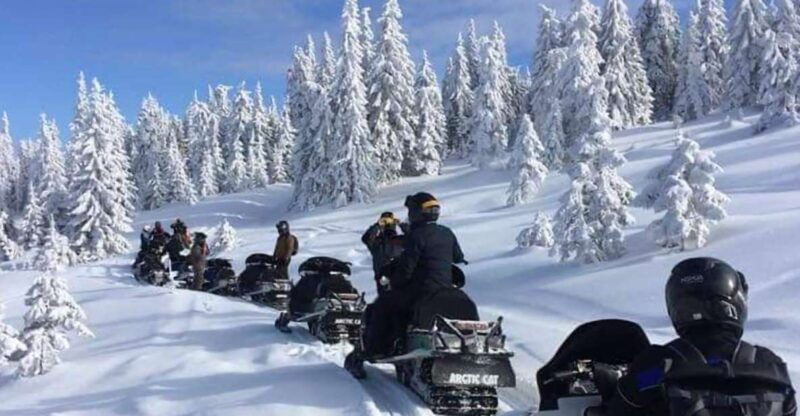 bucharest-carpathian-snowmobile-adventure-tour