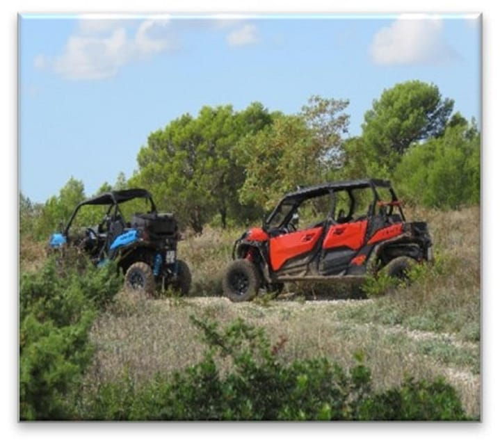 buggy-family-safari-2-4-h