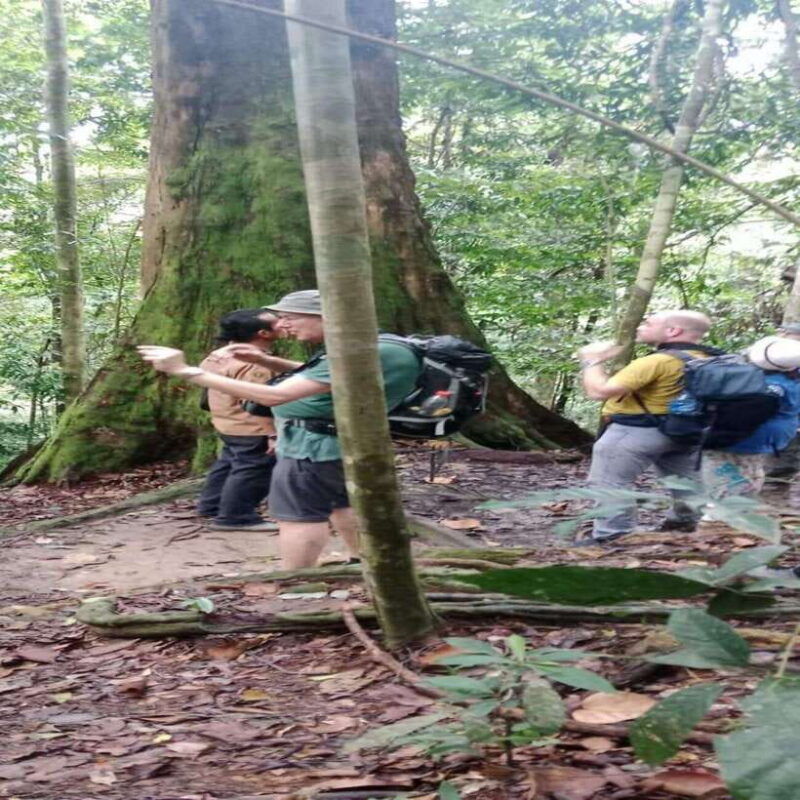 bukit-lawang-orangutan-tour-wonderful-jungle-view
