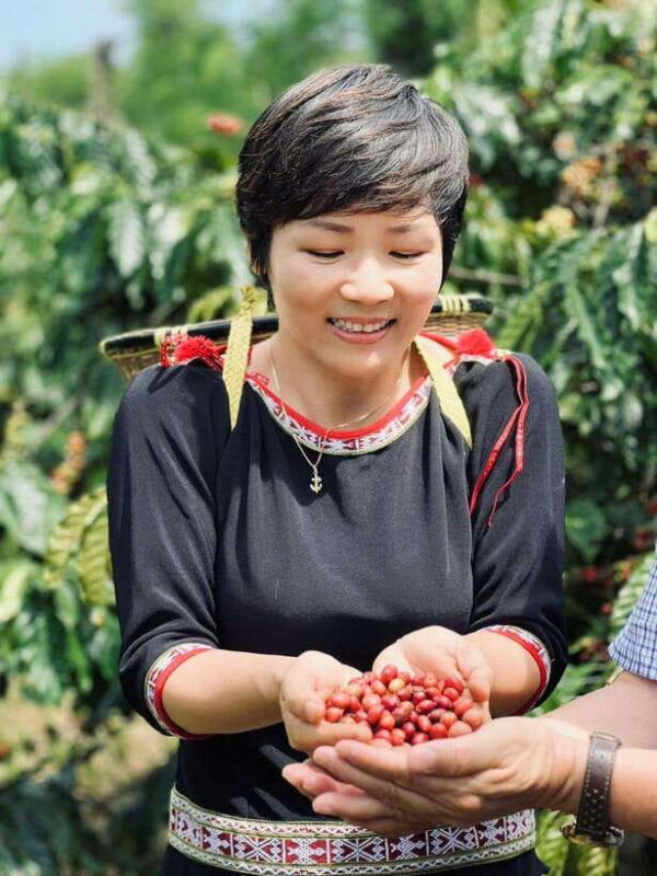 buon-ma-thuot-authentic-coffee-farm-experience-with-lunch