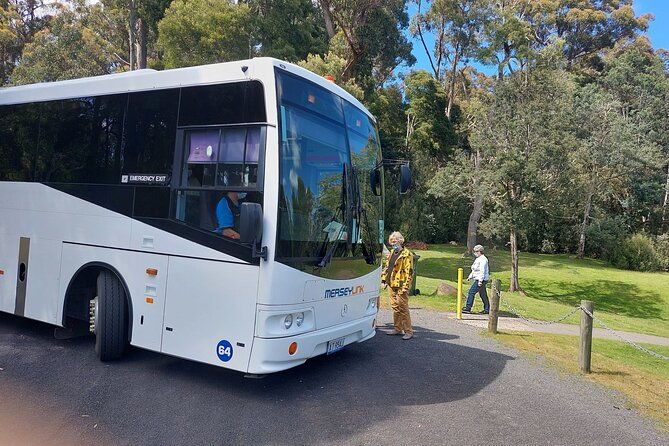 Burnie Attractions Bus: Burnie Shore Excursion - Who Is This Tour Best For?