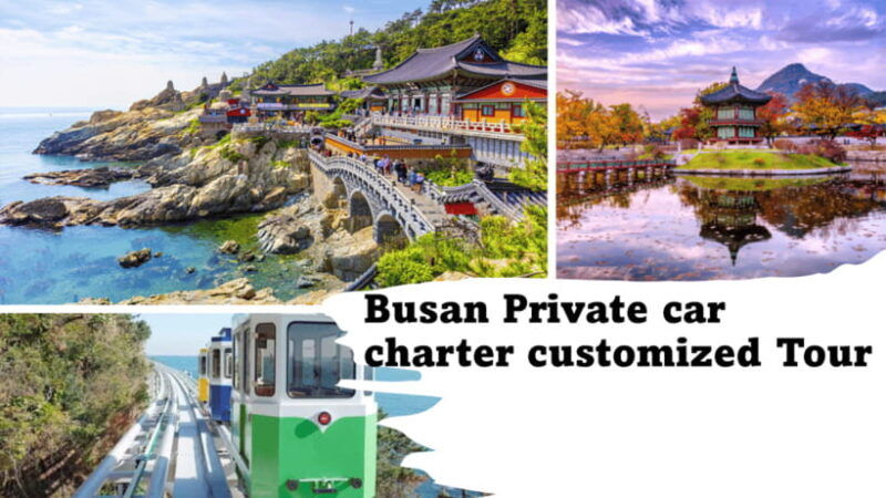 busan-city-customized-private-tour-from-busan